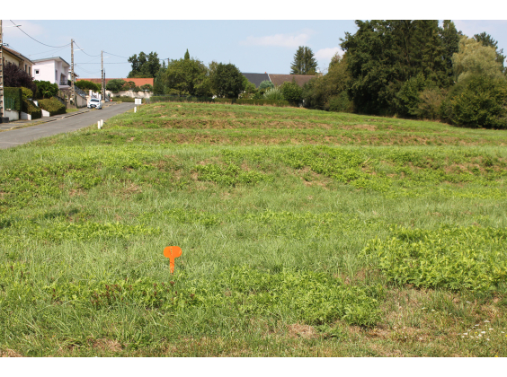 Terrain Montceau-les-Mines  pièce - 39100€